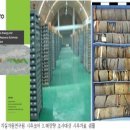 디에스티 딜사이트