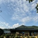 파도마을 삼냥이네 이미지