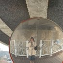 크루별장 | 정동진에서 제일 핫한 카페, 인스타 난리 난 ‘썬카페’ 직접 가봤다