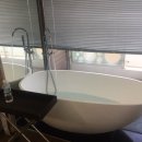 오션스타 이미지