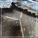 T-5 | 남원누수/남원누수탐 주택 냉수누수 탐지부터 배관 수리까지 깔끔하게 마무리