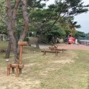 입곡군립공원 이미지