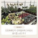 598 | 인천화훼단지 선유플라워그라운드 봄식물 쇼핑