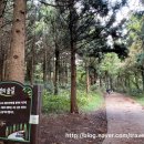 숲에오름협동조합 이미지