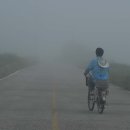 송산유원지 이미지