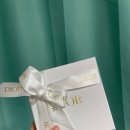 디올 Toile de Jouy Sauvage 미차 스카프