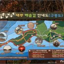상동대부