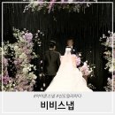 비비스냅 | 신도림라마다호텔 아이폰스냅 비비스냅 후기