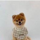 라이크몽 이미지