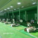뉴비치골프연습장 이미지