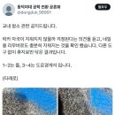 동덕여대 '락카칠' 논란, "총학과 무관"하다는 총학생회 이미지