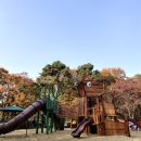 나들이숲 화장실 이미지