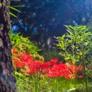 모라동우체국 이미지