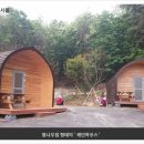 초안산 캠핑장 이미지