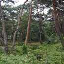 동호마을 이미지