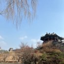 소공동묘 | 수원 화성 행궁 도보 여행 후기｜역사와 풍경이 살아있는 경기도 가볼만한 곳