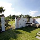 더 네모 이미지