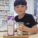 남양우유 | 아이우유추천 고민 끝, 남양 맛있는우유GT 락토프리 맛비교 후기