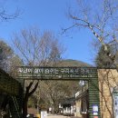 신씨네마을 | 취미일상 - 춘천 문배마을 등산(봄날의 등산을 좋아하세요?)