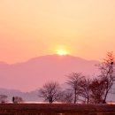 메아리