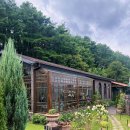 (주)묵호택시 이미지