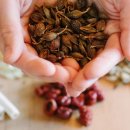 경희케이한의원 이미지