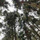 하귀당구장 | [제주여행] 세번째 :: 한라산 등산, 돌카롱, 고래배꼽, 신화테마파크, 오전열한시, 인그리드, 이호테우...