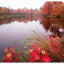 대구종합유통단지 산업용재관 이미지