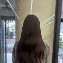 박공헤어 - 고양시 일산동구 | 약수역미용실 박공헤어 자연갈색에서 애쉬브라운염색 내돈내산 후기