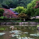 진도 운림산방 이미지