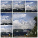 호랭이농장 이미지