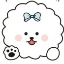 순심이네 펫살롱 이미지