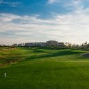 곰's 골프 이미지