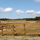 평화목장 | 제주 아이와 가볼만한곳 성이시돌 목장 후기