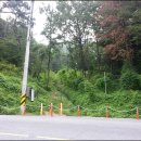 장원초교 이미지