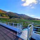 땅끝마을펜션 이미지