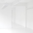 버드나루로 이미지