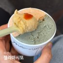 부산 중앙동 맛집 젤라마시또 멍게 젤라또 후기