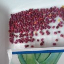 주식회사 청농 이미지