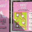 (주)제일화학 | [쑤블로그]_SK인천석유화학벚꽃동산 개방 다녀온 후기!