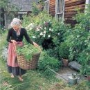 타샤의 정원 이미지