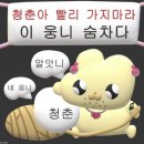 큰집회관 | 해방된 도비의 2025년 여름날의 기록