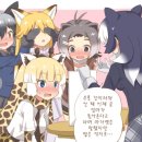 여우와늑대 이미지