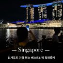 싱가포르 야경 명소 TOP5 딱 알랴줄게 🌙✨