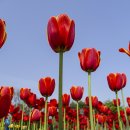 향기3로 이미지