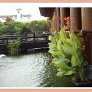 구로노인종합복지관 이미지