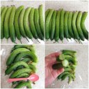 민숙농장 이미지