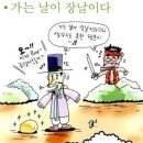 날마다장날 이미지