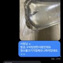 부림1경로당 | 수족관탐방)광주 느낌 충만 갬성 수족관 “SATURDAY AQUA”