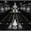 벨라마레 이미지